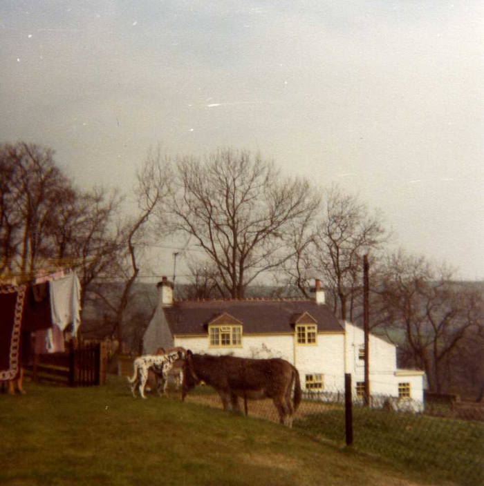 returnimage.cgi/10009/700