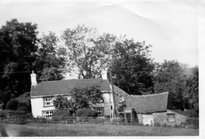 returnimage.cgi/10012/700