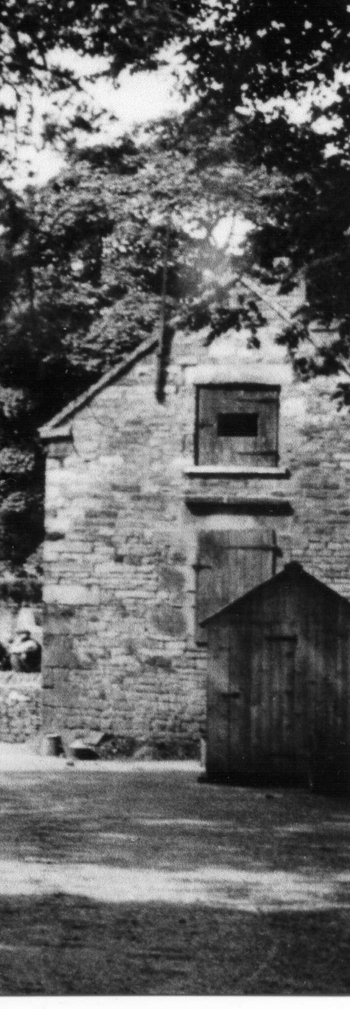 returnimage.cgi/10016/700