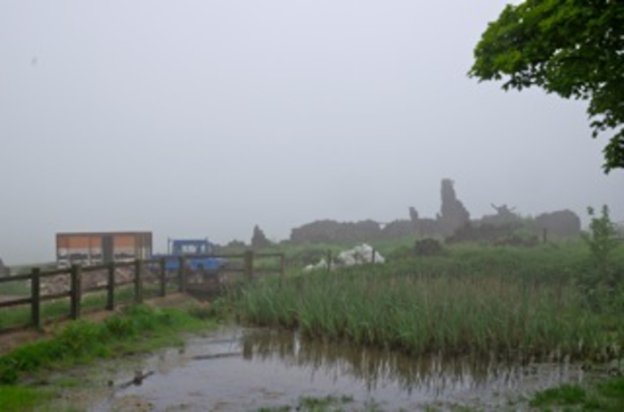 returnimage.cgi/10020/700