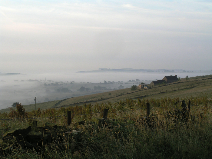 returnimage.cgi/10021/700