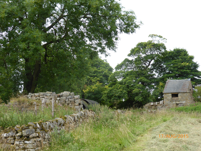 returnimage.cgi/10036/700