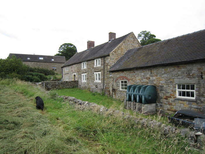 returnimage.cgi/10037/700