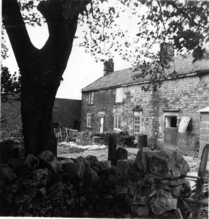 returnimage.cgi/10061/700