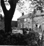 returnimage.cgi/10061/thumbnail