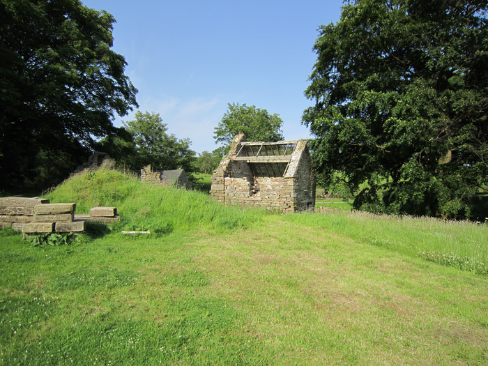 returnimage.cgi/10074/700