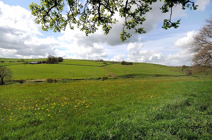 returnimage.cgi/10087/700