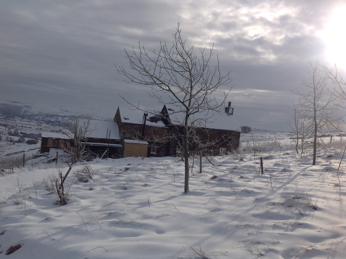 returnimage.cgi/10122/700