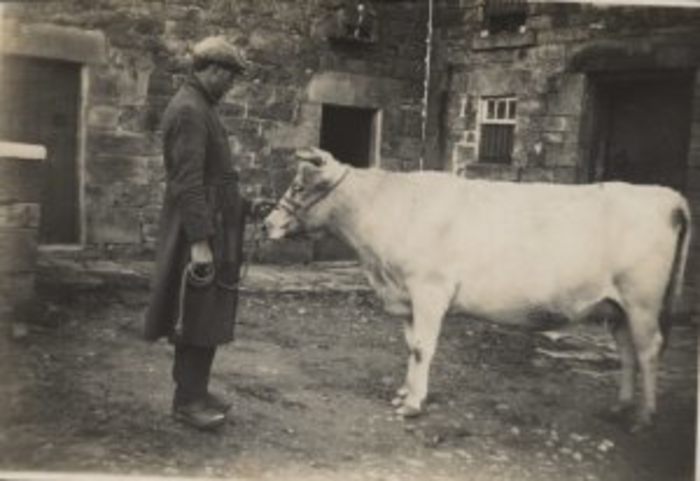 returnimage.cgi/10135/700