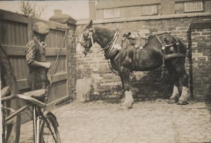 returnimage.cgi/10138/700