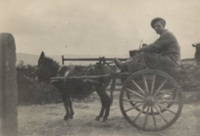 returnimage.cgi/10139/700