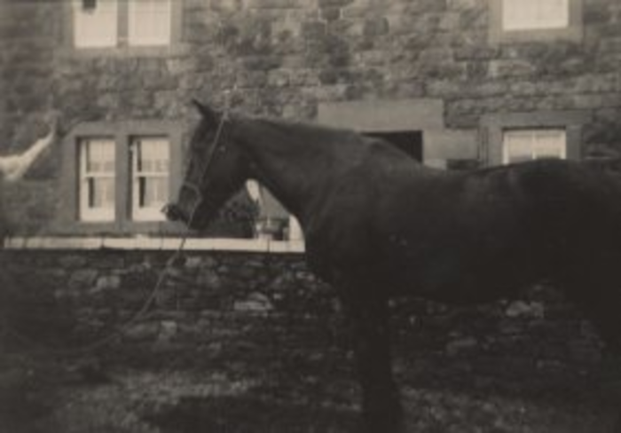 returnimage.cgi/10140/700