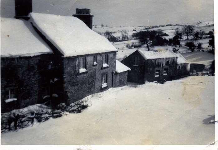 returnimage.cgi/10163/700