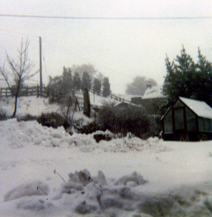 returnimage.cgi/10193/700