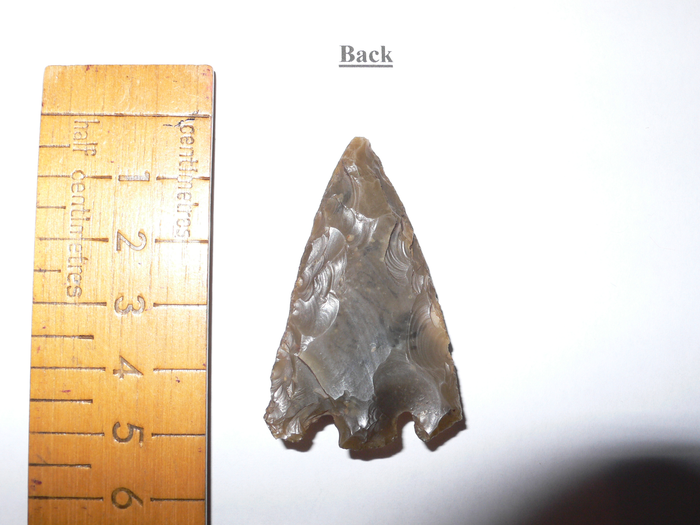 returnimage.cgi/10204/700