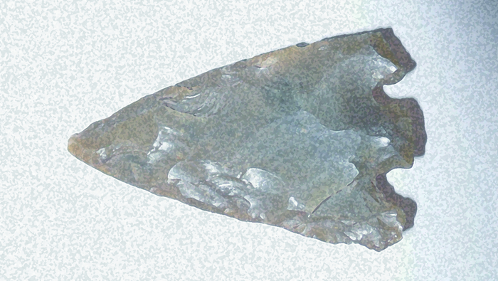 returnimage.cgi/10206/700