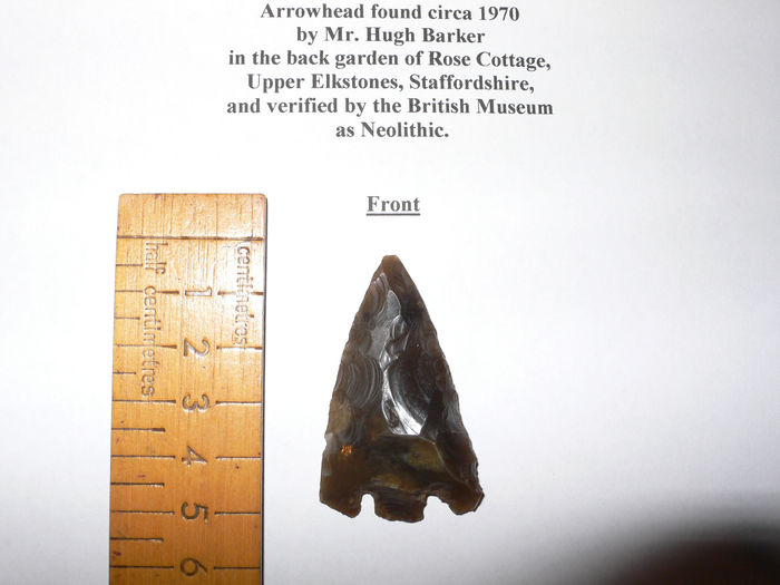 returnimage.cgi/10207/700