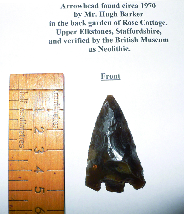 returnimage.cgi/10208/700