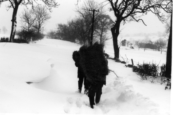 returnimage.cgi/10219/700