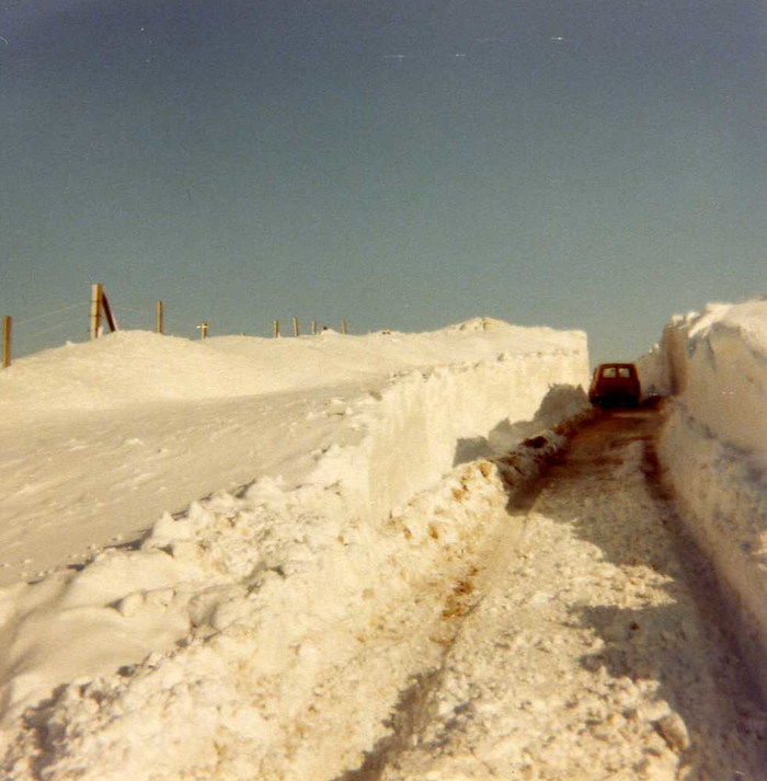 returnimage.cgi/10221/700