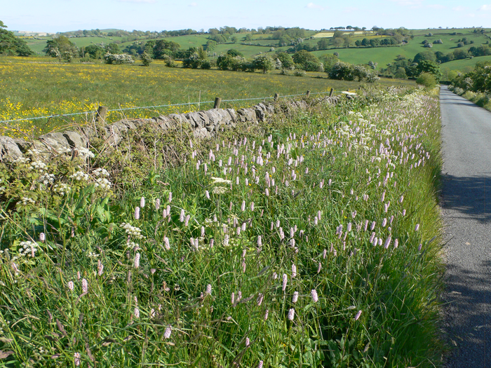 returnimage.cgi/10222/700