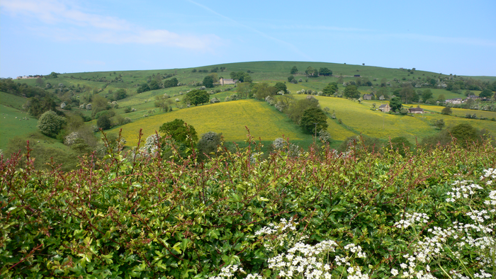 returnimage.cgi/10233/700