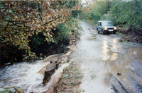 returnimage.cgi/10261/thumbnail