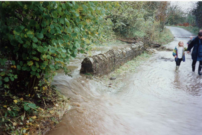 returnimage.cgi/10263/700