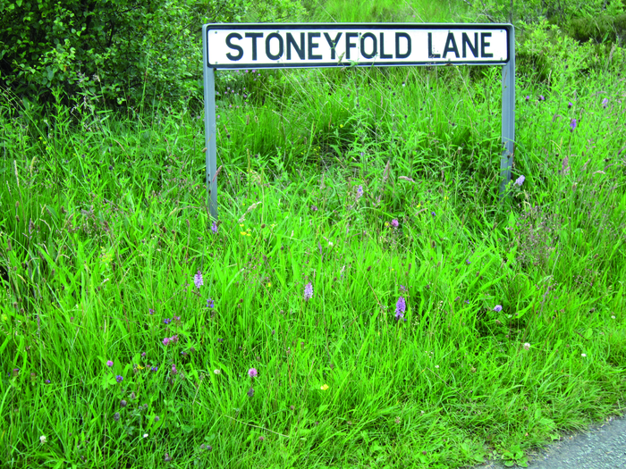 returnimage.cgi/10266/700