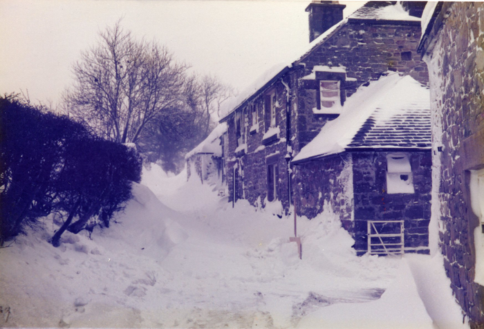 returnimage.cgi/10268/700