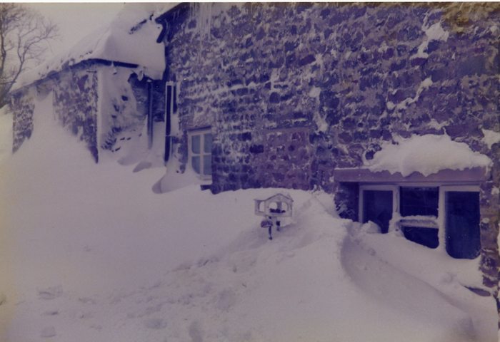 returnimage.cgi/10269/700