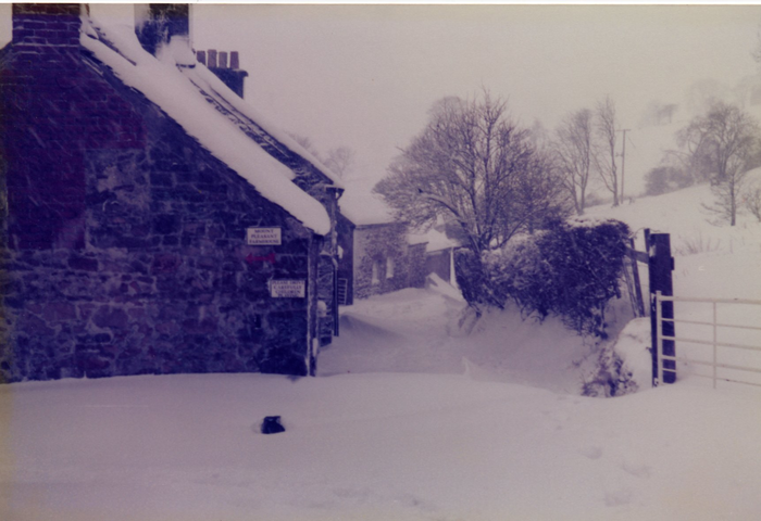 returnimage.cgi/10270/700