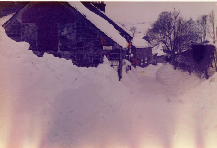 returnimage.cgi/10271/700