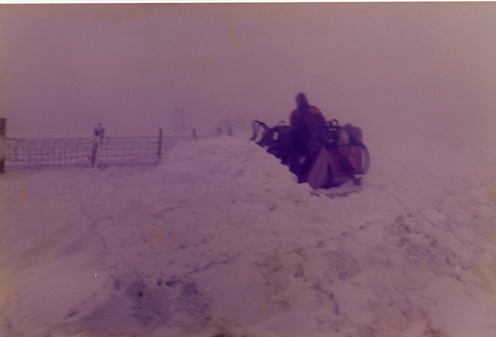 returnimage.cgi/10272/700