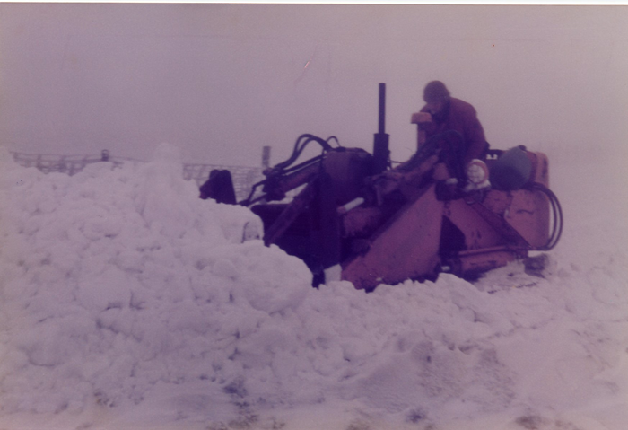 returnimage.cgi/10274/700