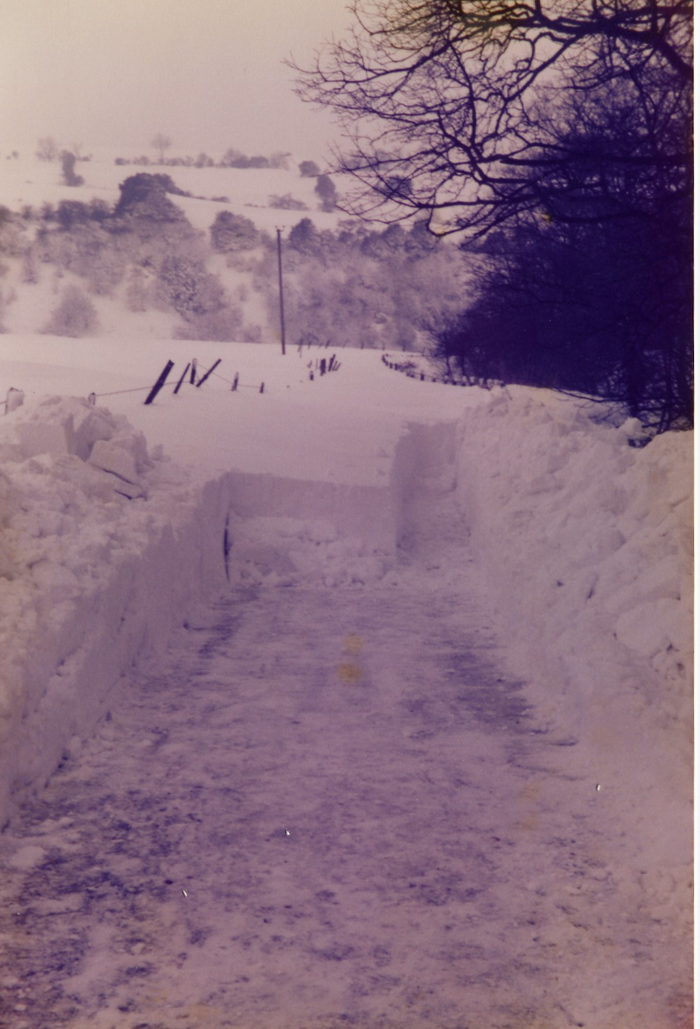 returnimage.cgi/10277/700