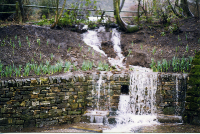 returnimage.cgi/10292/700