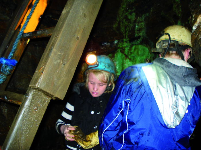 returnimage.cgi/10332/700