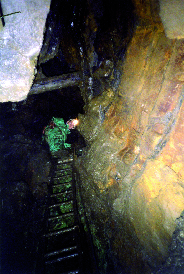 returnimage.cgi/10334/700