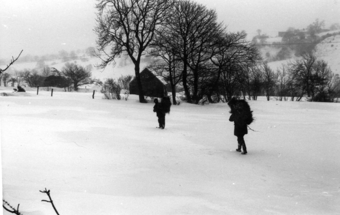 returnimage.cgi/10351/700