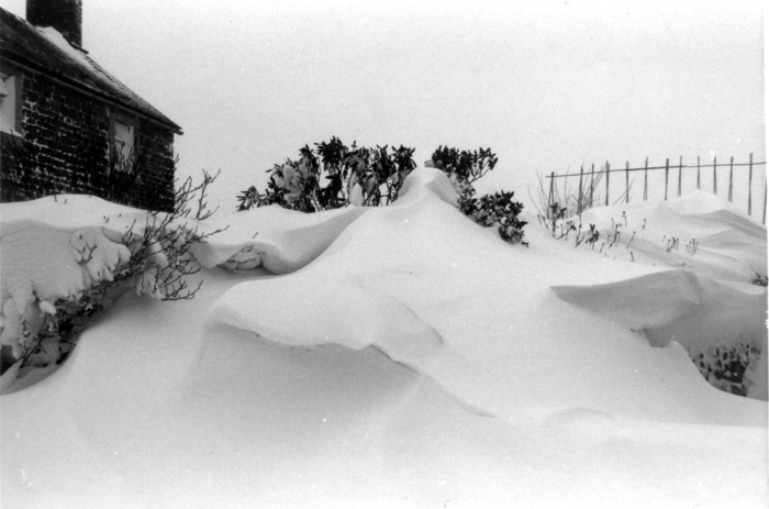 returnimage.cgi/10354/700