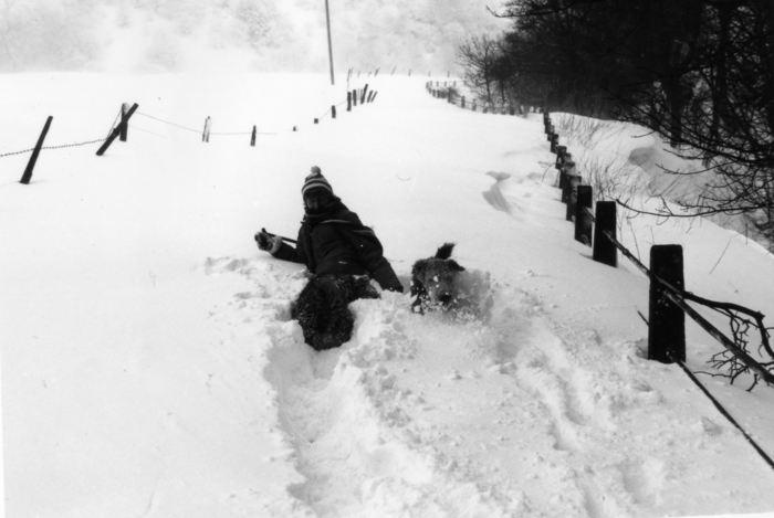 returnimage.cgi/10356/700