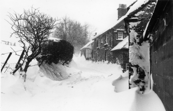 returnimage.cgi/10358/700