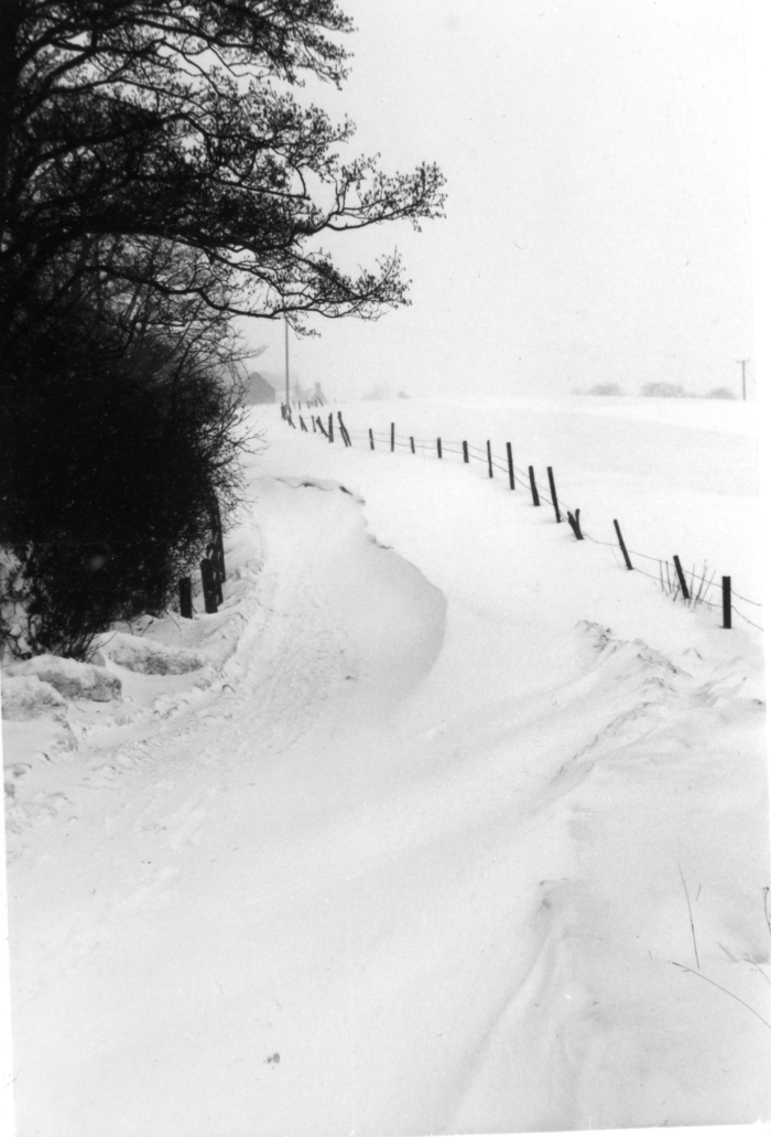 returnimage.cgi/10360/700