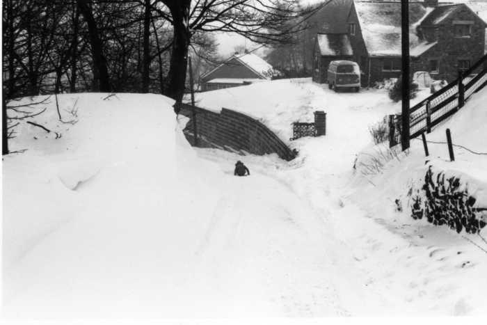 returnimage.cgi/10361/700