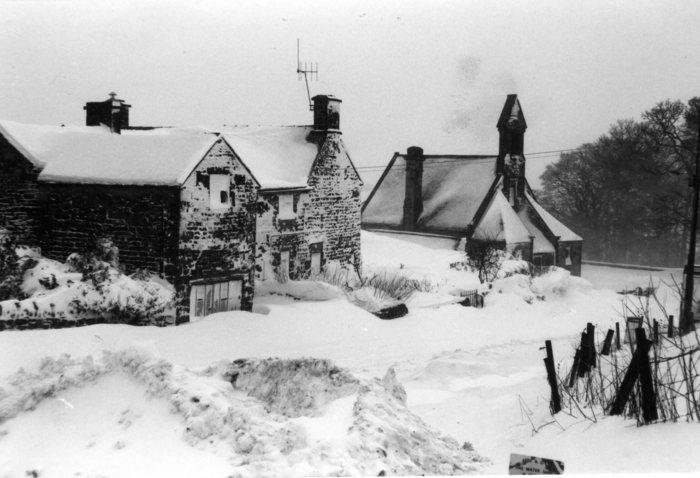 returnimage.cgi/10363/700