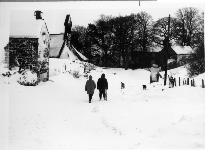 returnimage.cgi/10364/700