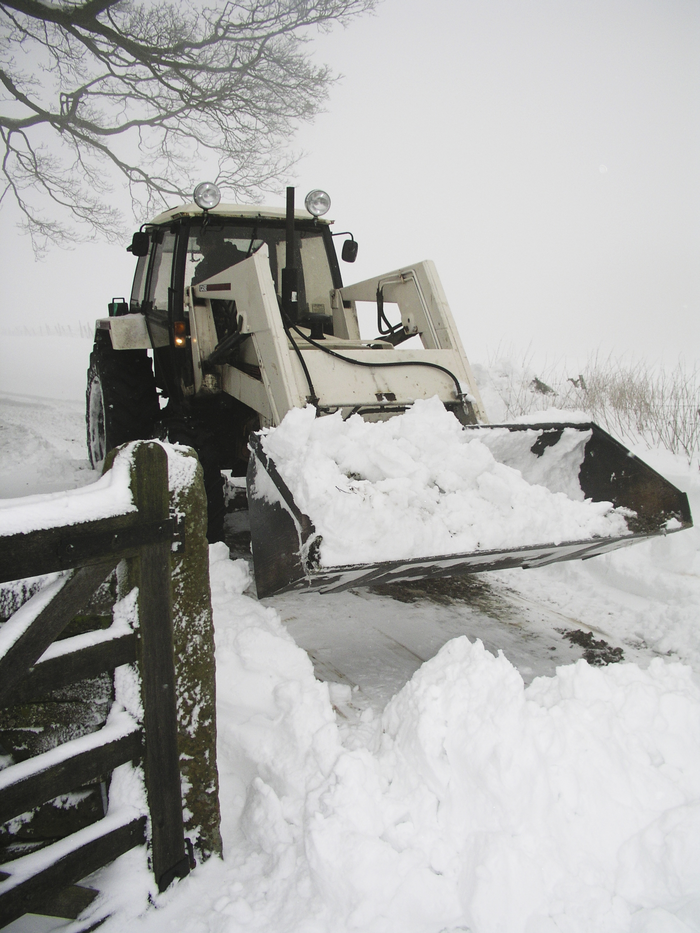 returnimage.cgi/10496/700