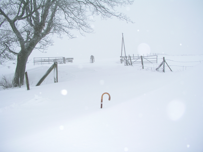 returnimage.cgi/10497/700