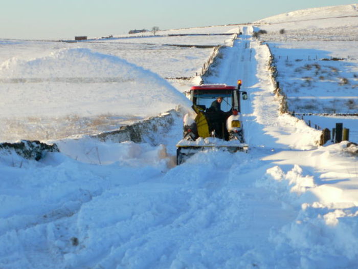 returnimage.cgi/10498/700